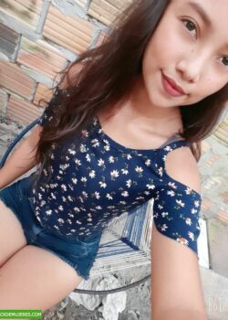 Nenita pasando nudes por chat. 2